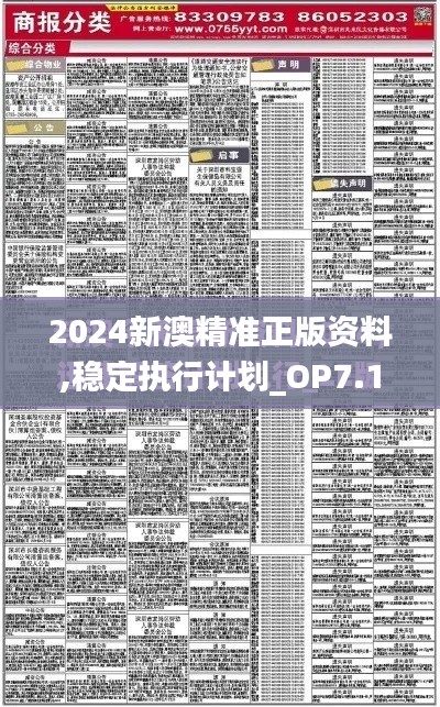 2024新澳精准正版资料,稳定执行计划_OP7.155