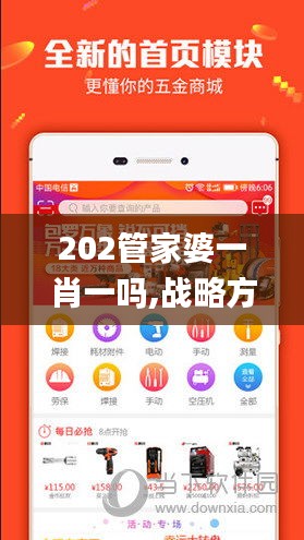 202管家婆一肖一吗,战略方案优化_WP6.869