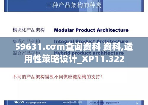 59631.cσm查询资科 资科,适用性策略设计_XP11.322