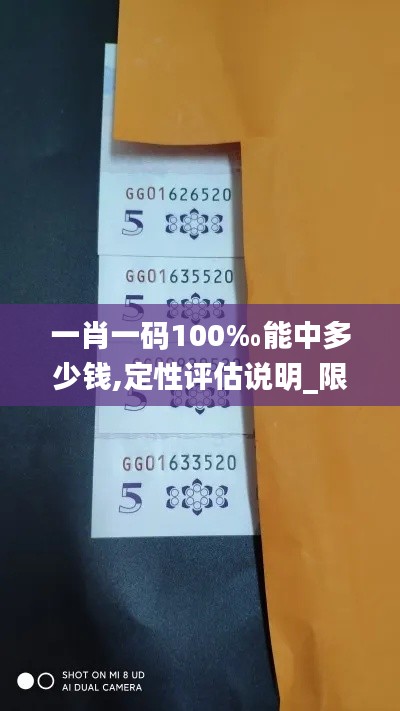 一肖一码100‰能中多少钱,定性评估说明_限量款5.424