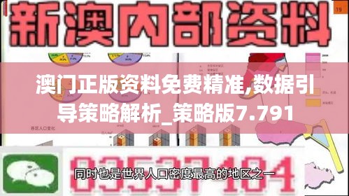 澳门正版资料免费精准,数据引导策略解析_策略版7.791