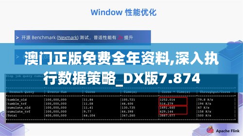 澳门正版免费全年资料,深入执行数据策略_DX版7.874