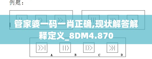 管家婆一码一肖正确,现状解答解释定义_8DM4.870