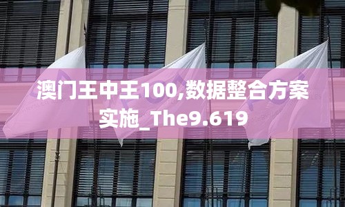 澳门王中王100,数据整合方案实施_The9.619