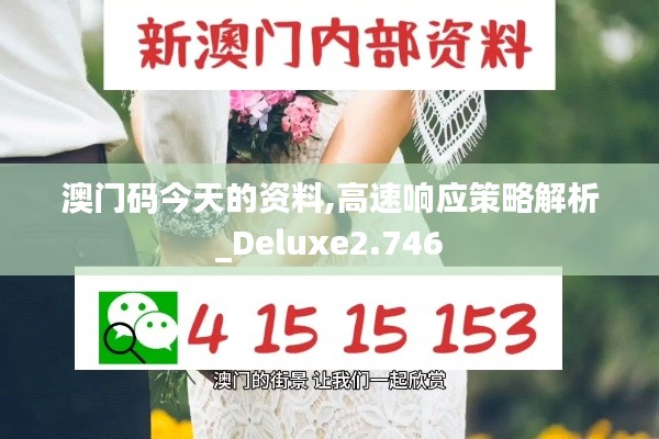 澳门码今天的资料,高速响应策略解析_Deluxe2.746