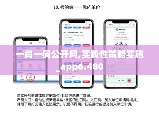 一肖一码公开网,实践性策略实施_app6.480