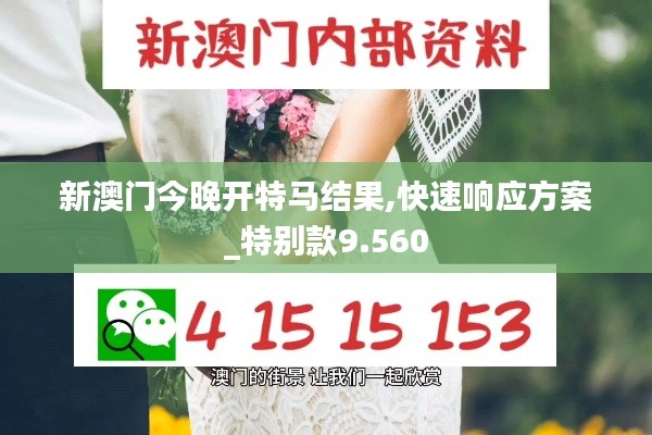 新澳门今晚开特马结果,快速响应方案_特别款9.560