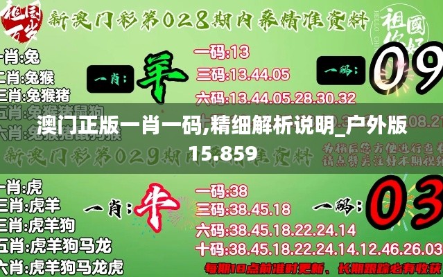 澳门正版一肖一码,精细解析说明_户外版15.859