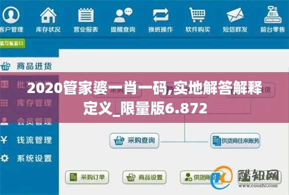 2020管家婆一肖一码,实地解答解释定义_限量版6.872