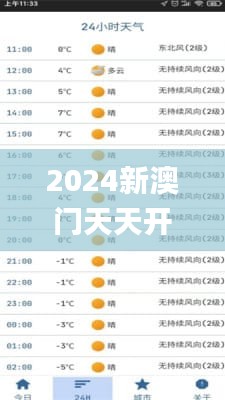 2024新澳门天天开彩免费资料,实地说明解析_WP19.534