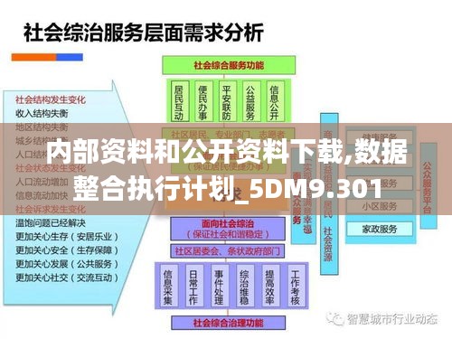 内部资料和公开资料下载,数据整合执行计划_5DM9.301