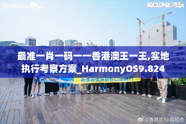 最准一肖一码一一香港澳王一王,实地执行考察方案_HarmonyOS9.824