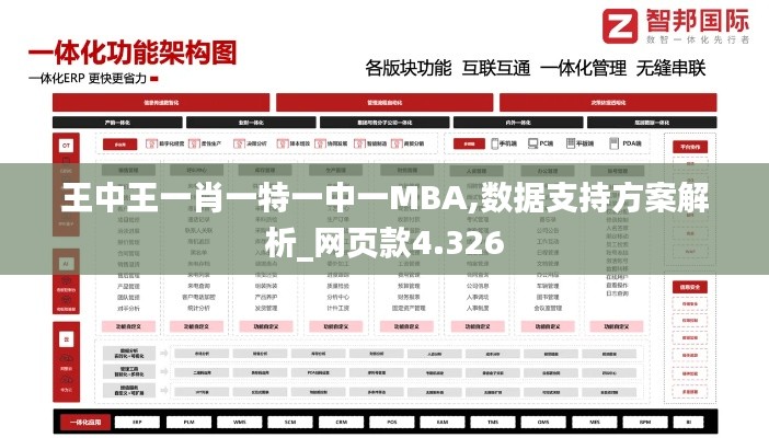 王中王一肖一特一中一MBA,数据支持方案解析_网页款4.326