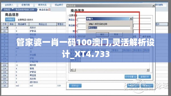 管家婆一肖一码100澳门,灵活解析设计_XT4.733