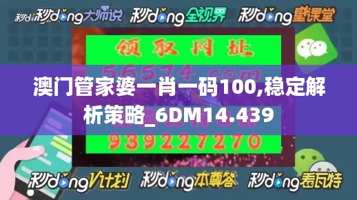 澳门管家婆一肖一码100,稳定解析策略_6DM14.439