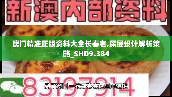 澳门精准正版资料大全长春老,深层设计解析策略_SHD9.384