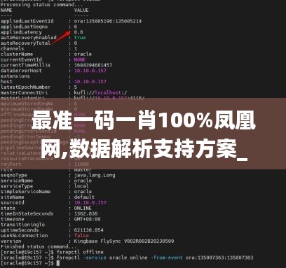 最准一码一肖100%凤凰网,数据解析支持方案_旗舰款3.746