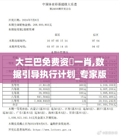 大三巴免费资枓一肖,数据引导执行计划_专家版10.909