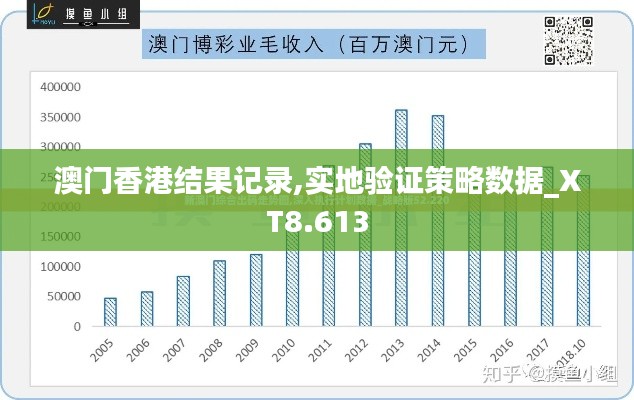 澳门香港结果记录,实地验证策略数据_XT8.613