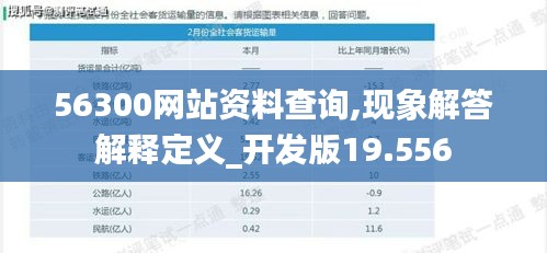 56300网站资料查询,现象解答解释定义_开发版19.556