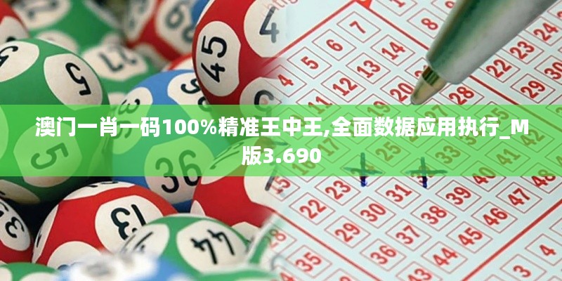 澳门一肖一码100%精准王中王,全面数据应用执行_M版3.690