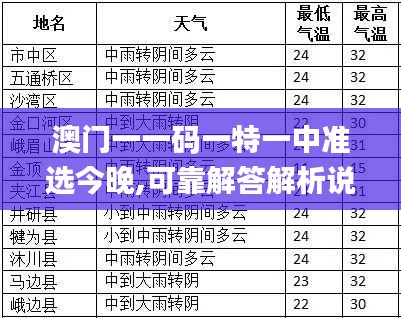 2024年12月11日 第12页