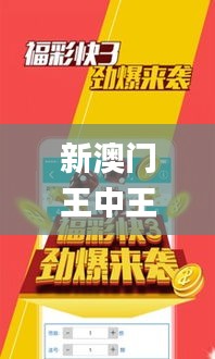 新澳门王中王100%期期中,综合计划定义评估_标准版6.389