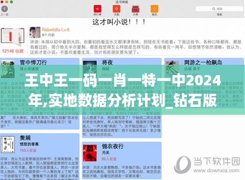 王中王一码一肖一特一中2024年,实地数据分析计划_钻石版6.304