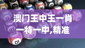 澳门王中王一肖一特一中,精准解答解释定义_pro9.700