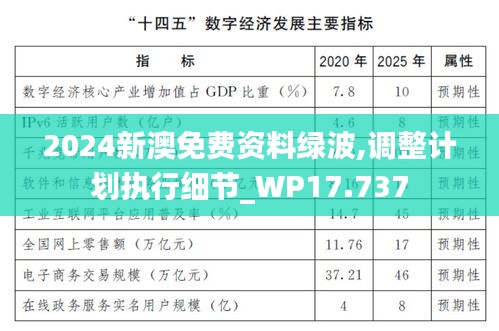 2024新澳免费资料绿波,调整计划执行细节_WP17.737