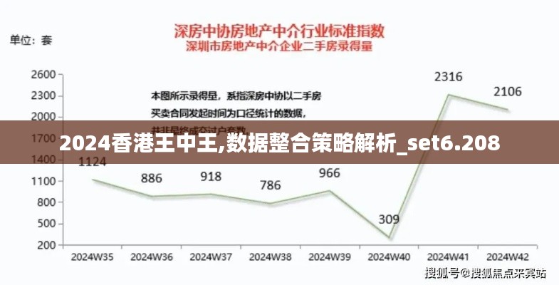 2024香港王中王,数据整合策略解析_set6.208