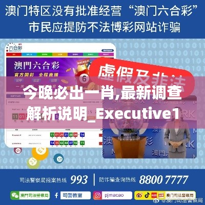 今晚必出一肖,最新调查解析说明_Executive13.338