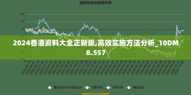 2024香港资料大全正新版,高效实施方法分析_10DM8.557