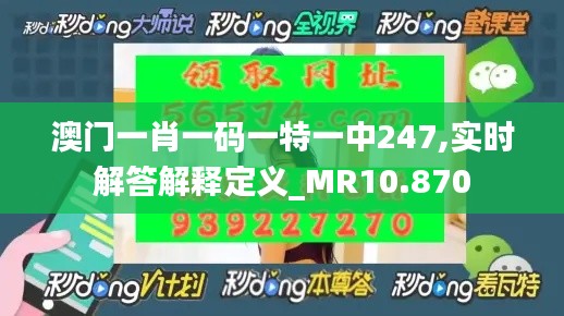 澳门一肖一码一特一中247,实时解答解释定义_MR10.870