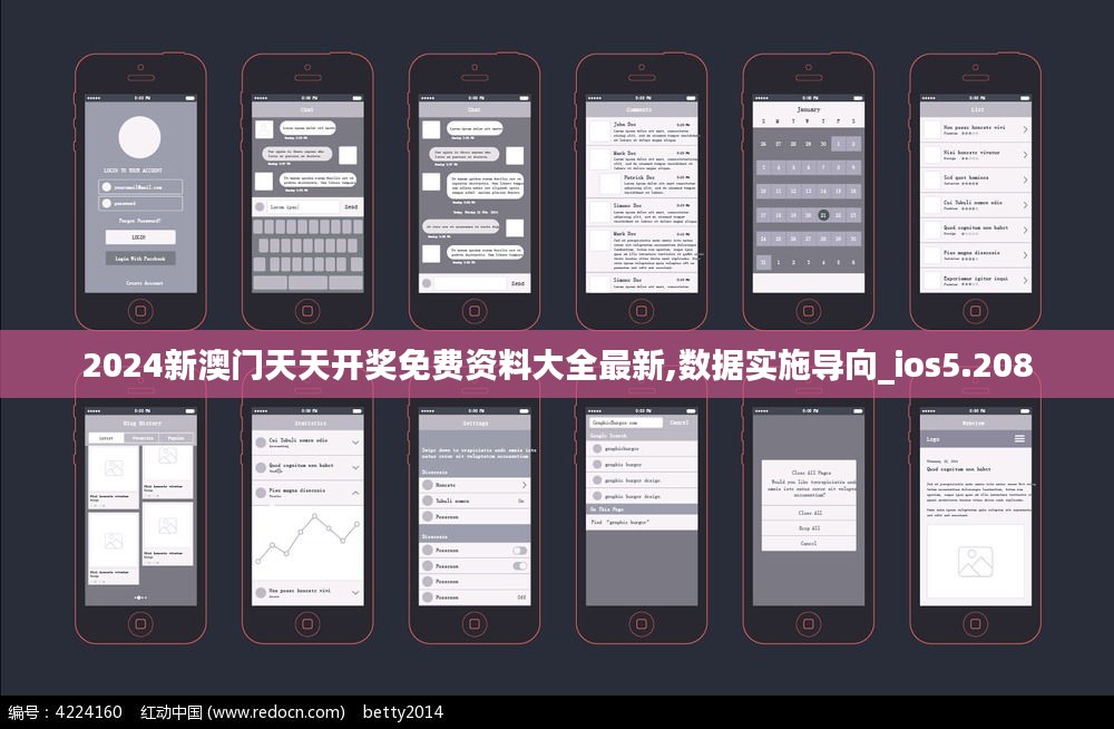 2024新澳门天天开奖免费资料大全最新,数据实施导向_ios5.208
