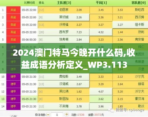 2024澳门特马今晚开什么码,收益成语分析定义_WP3.113