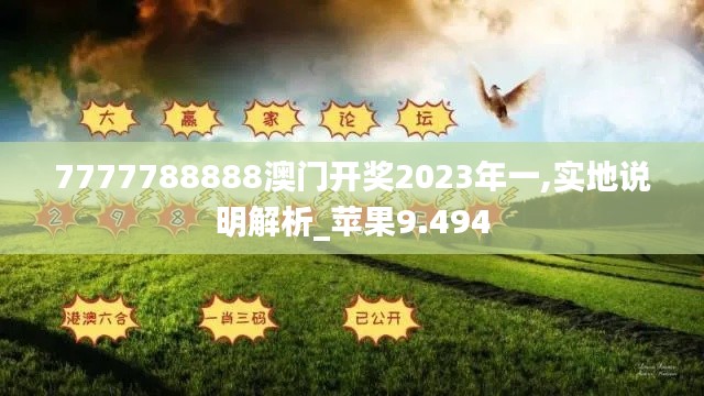 7777788888澳门开奖2023年一,实地说明解析_苹果9.494