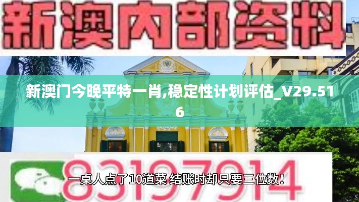 新澳门今晚平特一肖,稳定性计划评估_V29.516