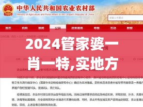 2024管家婆一肖一特,实地方案验证_HT1.760