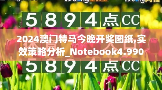 2024澳门特马今晚开奖图纸,实效策略分析_Notebook4.990