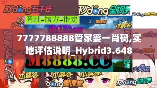 7777788888管家婆一肖码,实地评估说明_Hybrid3.648