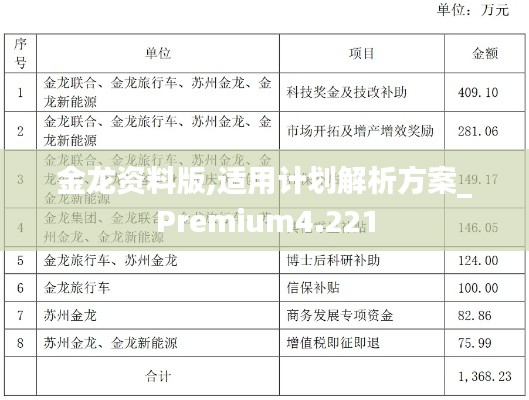 金龙资料版,适用计划解析方案_Premium4.221