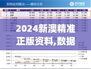 2024新澳精准正版资料,数据执行驱动决策_DX版5.746