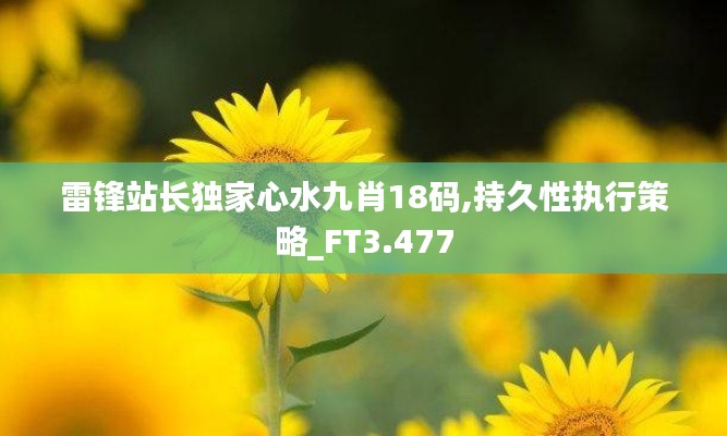 雷锋站长独家心水九肖18码,持久性执行策略_FT3.477