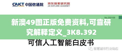 新澳49图正版免费资料,可靠研究解释定义_3K8.392