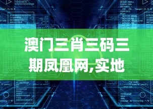 澳门三肖三码三期凤凰网,实地评估策略_网页版1.225