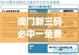 澳门新三码必中一免费,深入应用解析数据_DX版16.719