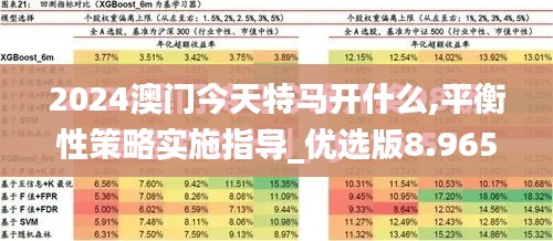 2024澳门今天特马开什么,平衡性策略实施指导_优选版8.965