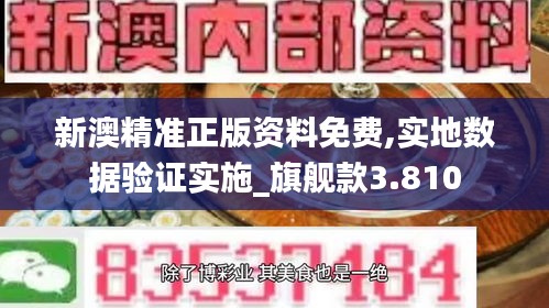 新澳精准正版资料免费,实地数据验证实施_旗舰款3.810