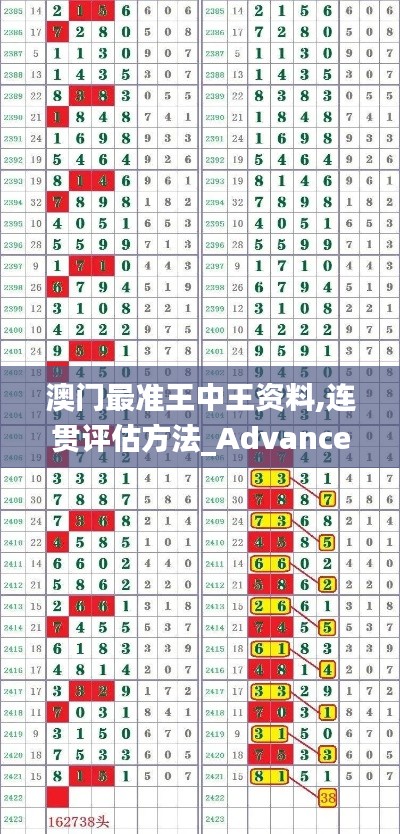 澳门最准王中王资料,连贯评估方法_Advance12.846